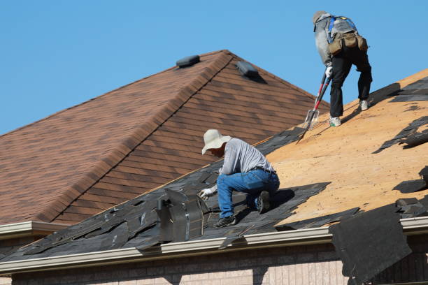 Best Metal Roofing Installation  in Mayflower, AR