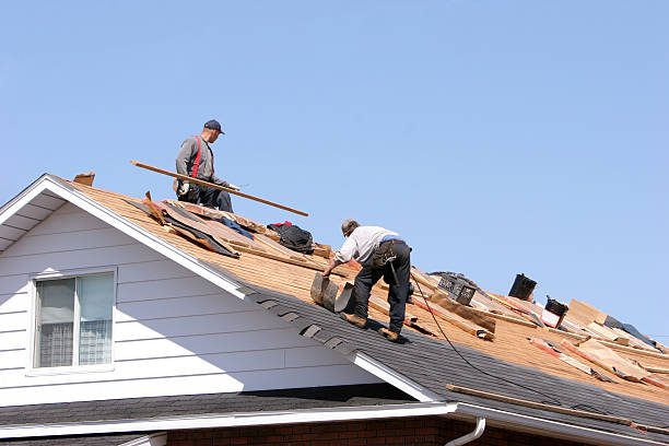 Best Roof Insulation Installation  in Mayflower, AR